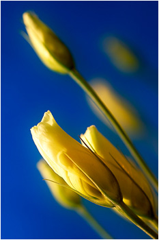 &copy;Chris Clowe