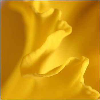 &copy;Chris Clowe