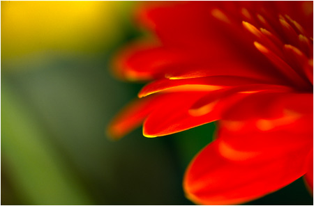 &copy;Chris Clowe